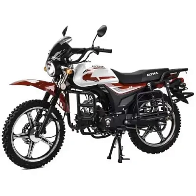 Мотоцикл Motoland Альфа RS Forester 11