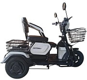Электроскутер трехколесный SHTENLI Model 30 SLA 48V12Ah