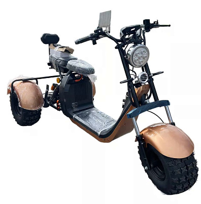 Трехколесный электроскутер Citycoco 302