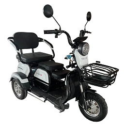 Электроскутер трехколесный SHTENLI Model 31 SLA 48V20Ah