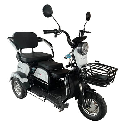Электроскутер трехколесный SHTENLI Model 31 SLA 48V20Ah
