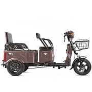 Электротрицикл Rutrike Вагон