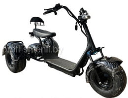 Трехколесный электроскутер CityCoco SMD-301 PRO