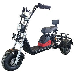 Электроскутер трехколесный Shtenli 104 mini 48V 12Ah
