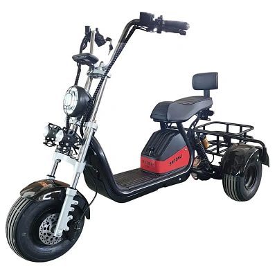 Электроскутер трехколесный Shtenli 104 48V 12Ah